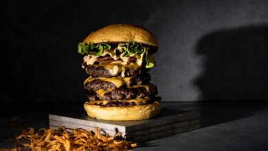 Plant-based burger patty on a plate showcasing the texture and appearance of alternative protein options