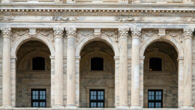 Classical government building with tall columns representing federal institutions and legislative chambers