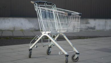 Shopping cart filled with fresh groceries and produce items