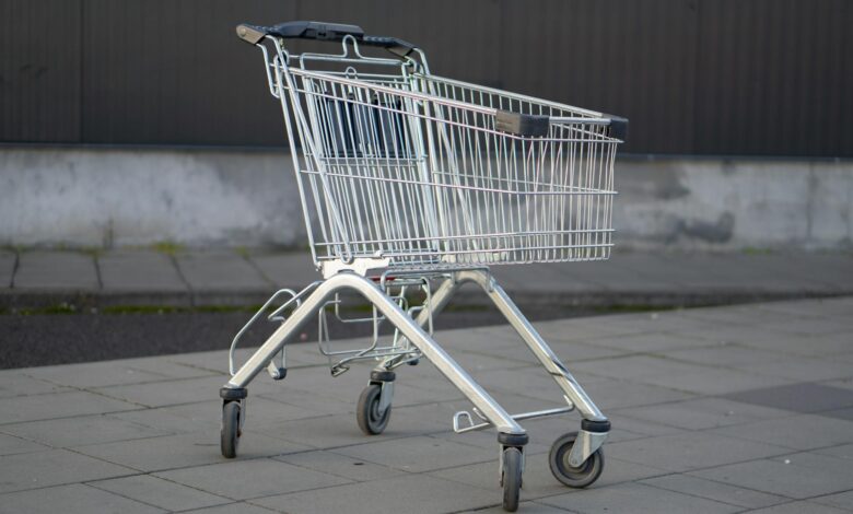 Shopping cart filled with fresh groceries and produce items
