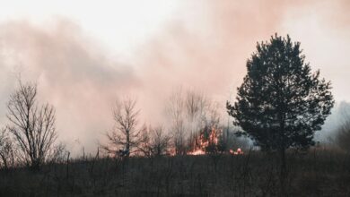 Thick smoke and flames from devastating wildfires consuming rural landscape