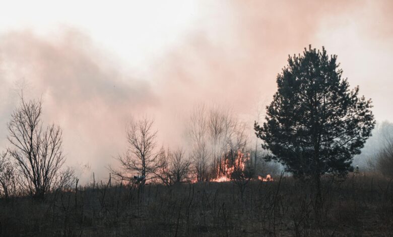 Thick smoke and flames from devastating wildfires consuming rural landscape
