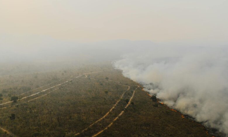 Thick smoke billowing from wildfire across mountainous landscape during emergency response