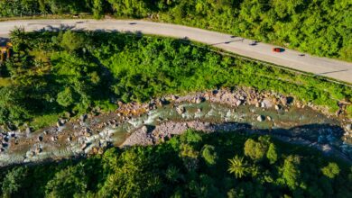 Aerial view of dense Amazon rainforest canopy showing vast green forest cover