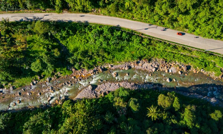 Aerial view of dense Amazon rainforest canopy showing vast green forest cover