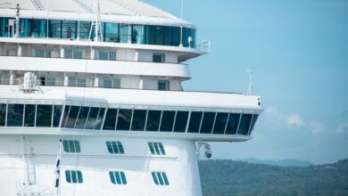 Large cruise ship sailing on calm blue ocean waters