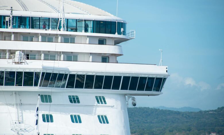 Large cruise ship sailing on calm blue ocean waters