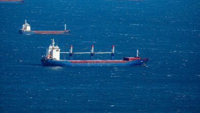 Large cargo ships navigating through a busy maritime shipping channel