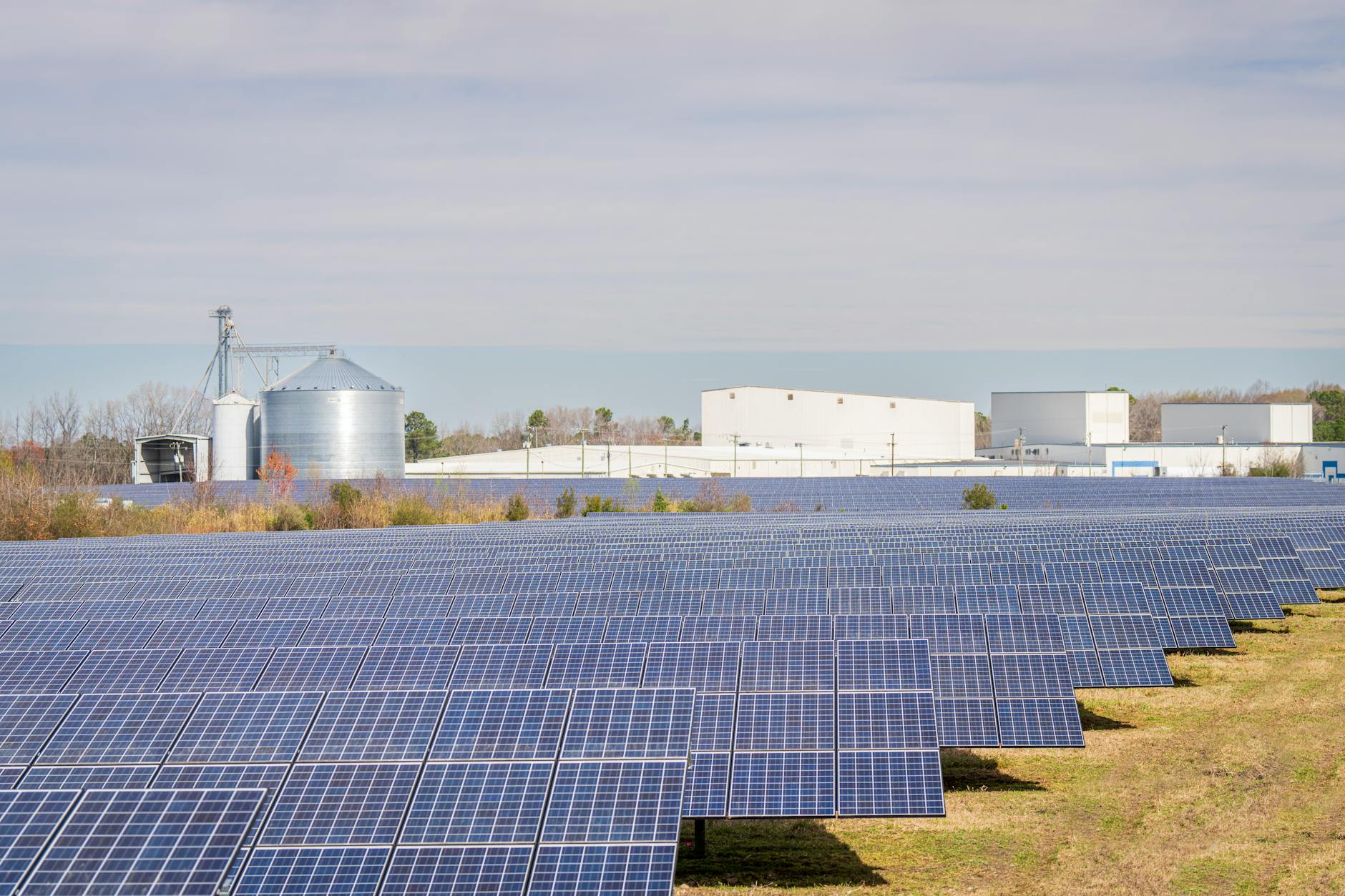 Array of solar panels in renewable energy installation under clear sky