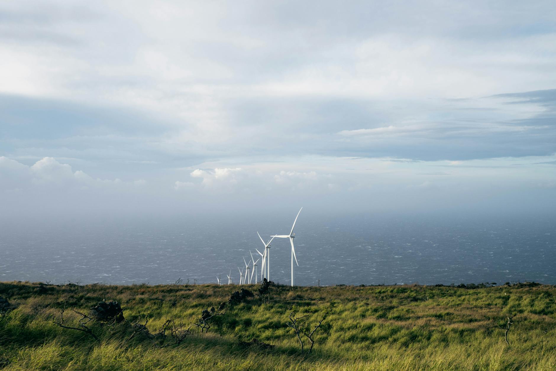 Wind turbines in open field representing clean energy generation and environmental sustainability