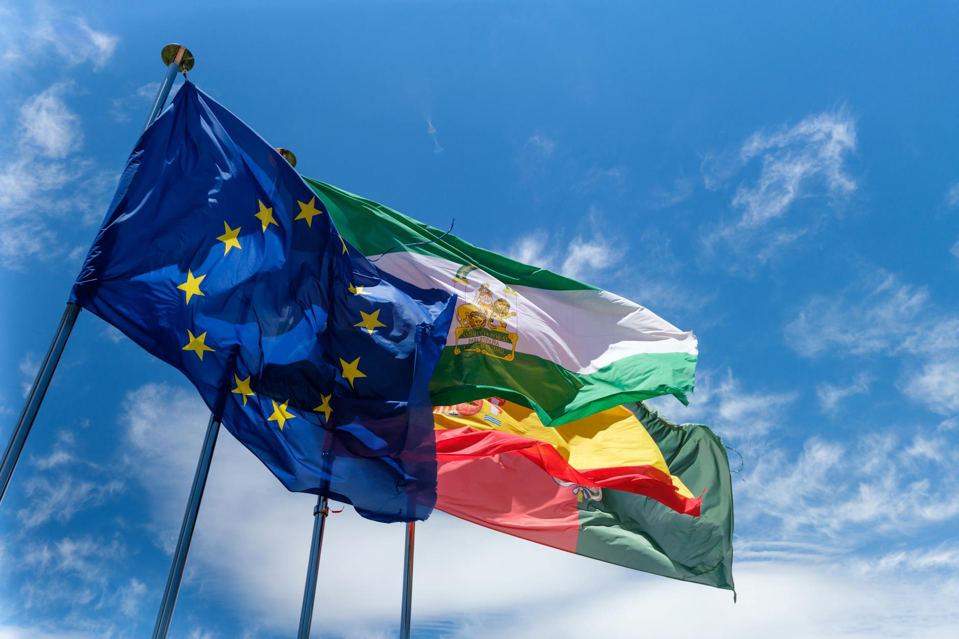 Multiple European Union member state flags displayed together representing continental unity