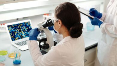 Scientist working in a biotech laboratory examining samples under controlled conditions