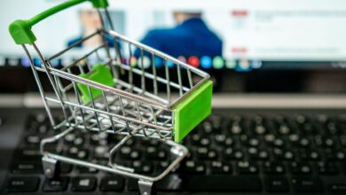 Person browsing products on a laptop screen representing online retail search behavior