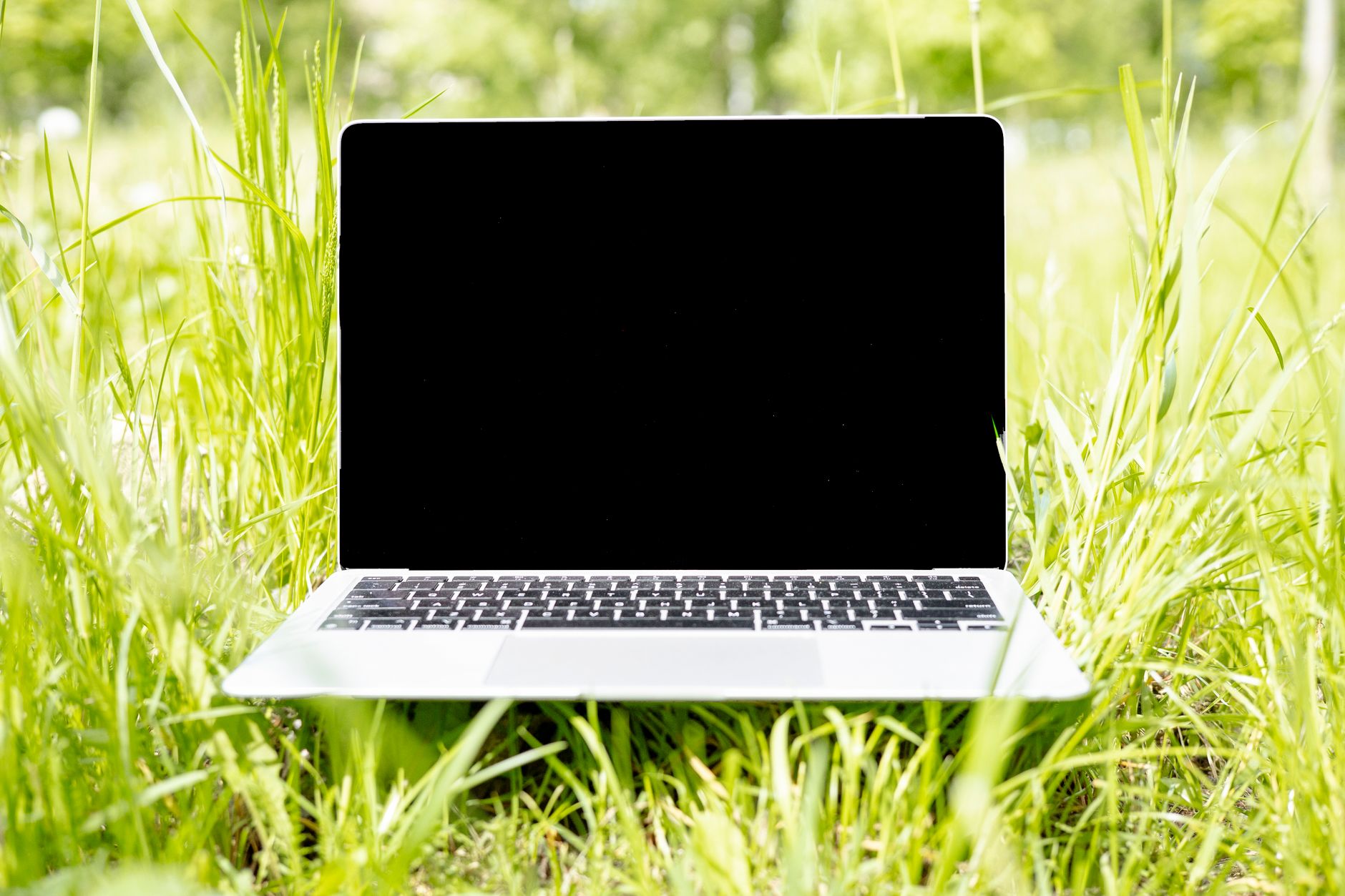 Person working on a laptop in a bright office environment